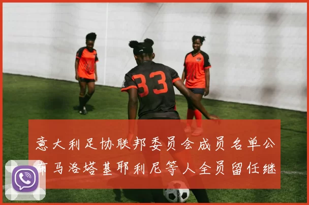 意大利足协联邦委员会成员名单公布马洛塔基耶利尼等人全员留任继续服务